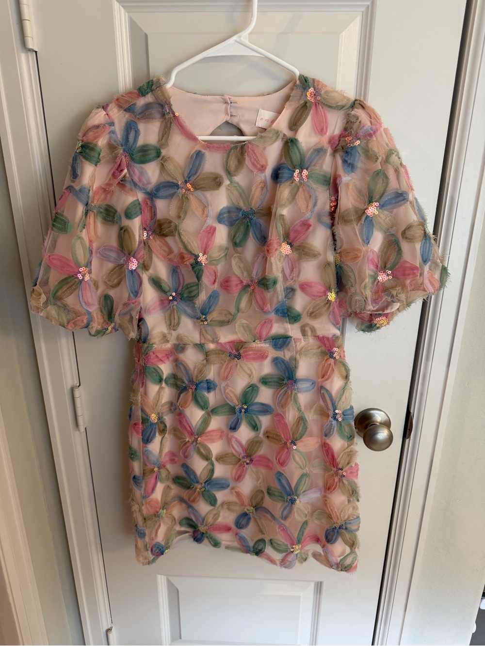 Impressions Pink Sheer Floral Appliqué Dress with Multicolor Petals - Picture 1 of 1